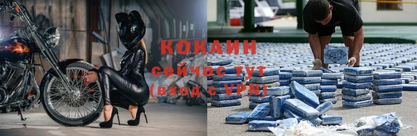дживик Аркадак