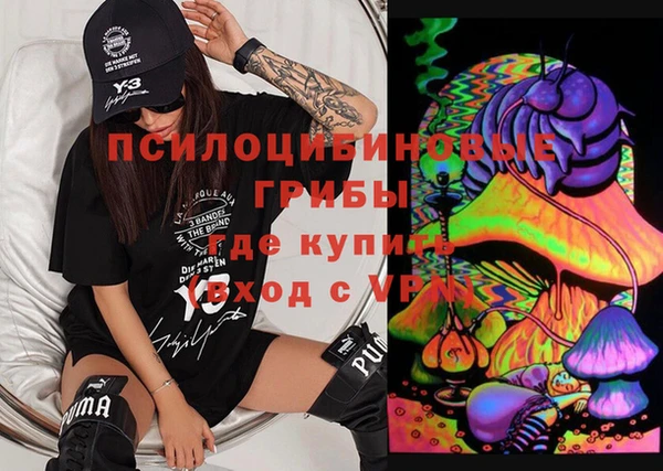 дживик Аркадак