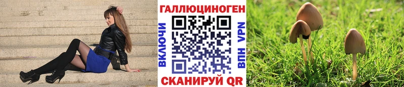 Галлюциногенные грибы прущие грибы  наркота  Соль-Илецк 